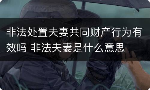 非法处置夫妻共同财产行为有效吗 非法夫妻是什么意思