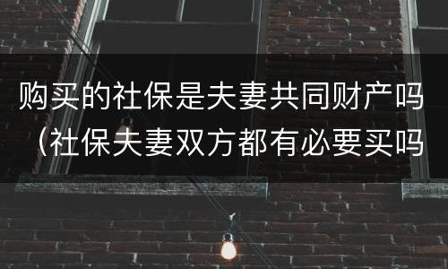 购买的社保是夫妻共同财产吗（社保夫妻双方都有必要买吗）