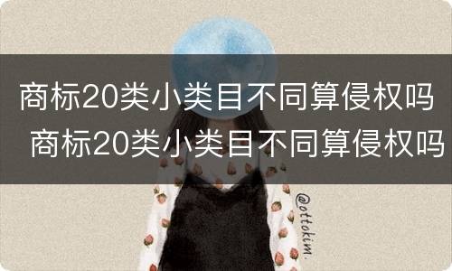 商标20类小类目不同算侵权吗 商标20类小类目不同算侵权吗为什么