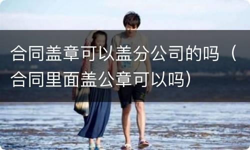 合同盖章可以盖分公司的吗（合同里面盖公章可以吗）