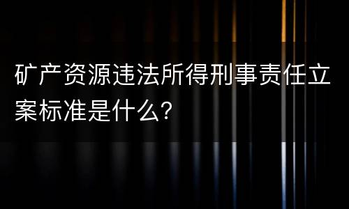 矿产资源违法所得刑事责任立案标准是什么？