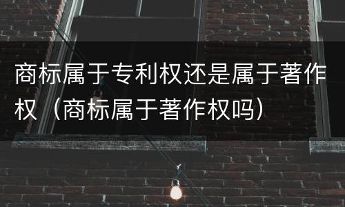 商标属于专利权还是属于著作权（商标属于著作权吗）