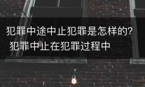 犯罪中途中止犯罪是怎样的？ 犯罪中止在犯罪过程中