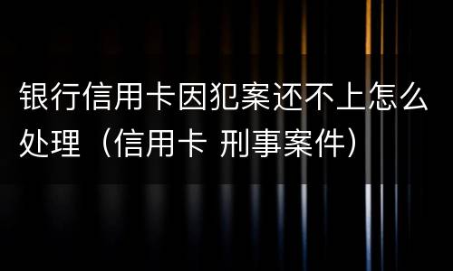 银行信用卡因犯案还不上怎么处理（信用卡 刑事案件）