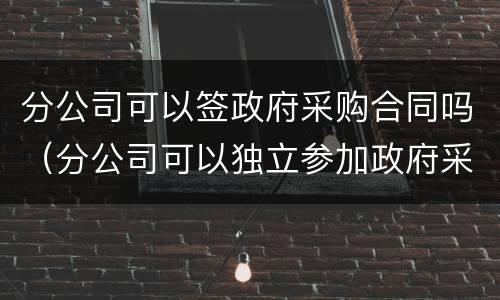 分公司可以签政府采购合同吗（分公司可以独立参加政府采购活动吗）