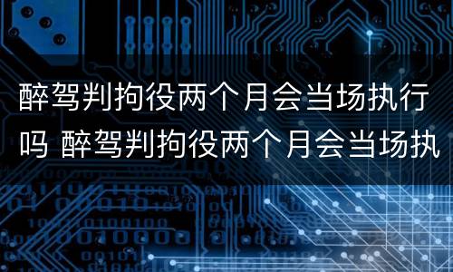 醉驾判拘役两个月会当场执行吗 醉驾判拘役两个月会当场执行吗视频