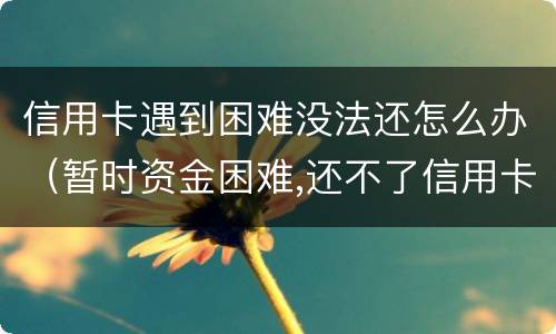 信用卡遇到困难没法还怎么办（暂时资金困难,还不了信用卡怎么办）