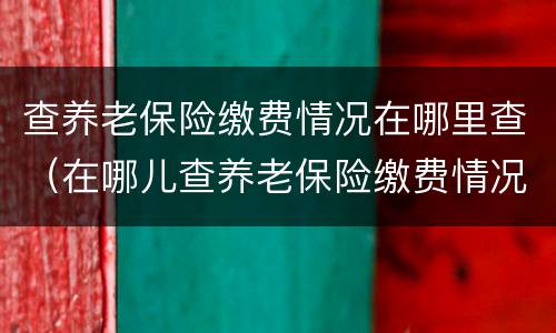 查养老保险缴费情况在哪里查（在哪儿查养老保险缴费情况）