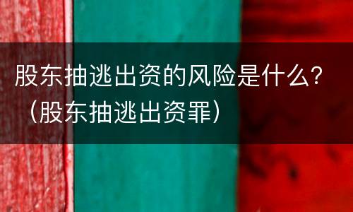 股东抽逃出资的风险是什么？（股东抽逃出资罪）