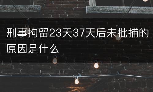 刑事拘留23天37天后未批捕的原因是什么