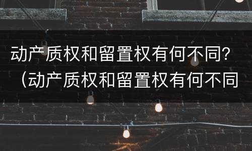 动产质权和留置权有何不同？（动产质权和留置权有何不同呢）