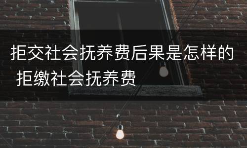 拒交社会抚养费后果是怎样的 拒缴社会抚养费