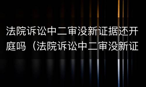 法院诉讼中二审没新证据还开庭吗（法院诉讼中二审没新证据还开庭吗）