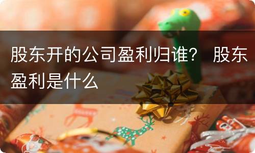 股东开的公司盈利归谁？ 股东盈利是什么