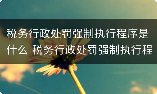 税务行政处罚强制执行程序是什么 税务行政处罚强制执行程序是什么