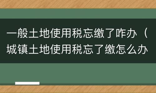 一般土地使用税忘缴了咋办（城镇土地使用税忘了缴怎么办）