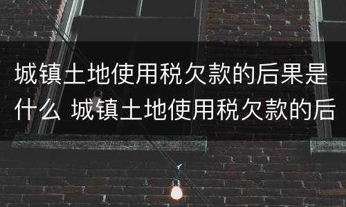 城镇土地使用税欠款的后果是什么 城镇土地使用税欠款的后果是什么呢