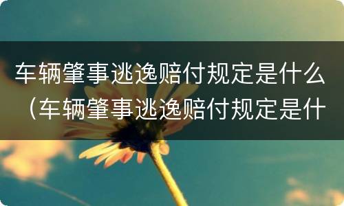 车辆肇事逃逸赔付规定是什么（车辆肇事逃逸赔付规定是什么时候出的）