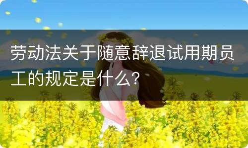 劳动法关于随意辞退试用期员工的规定是什么？