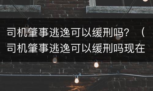 司机肇事逃逸可以缓刑吗？（司机肇事逃逸可以缓刑吗现在）