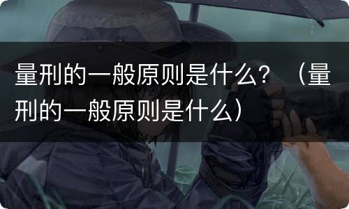 量刑的一般原则是什么？（量刑的一般原则是什么）