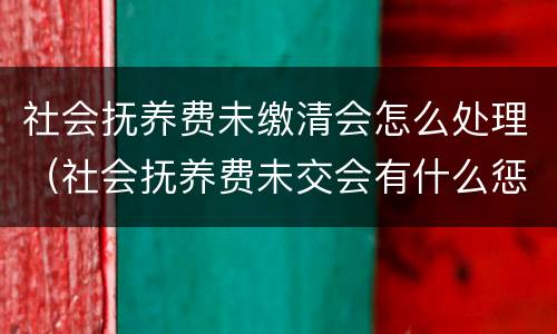 社会抚养费未缴清会怎么处理（社会抚养费未交会有什么惩罚）