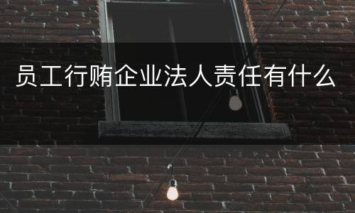 员工行贿企业法人责任有什么