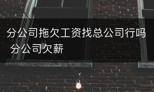 分公司拖欠工资找总公司行吗 分公司欠薪