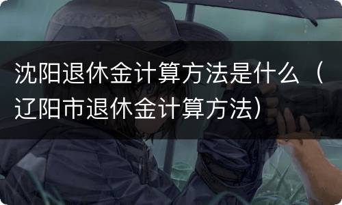 沈阳退休金计算方法是什么（辽阳市退休金计算方法）