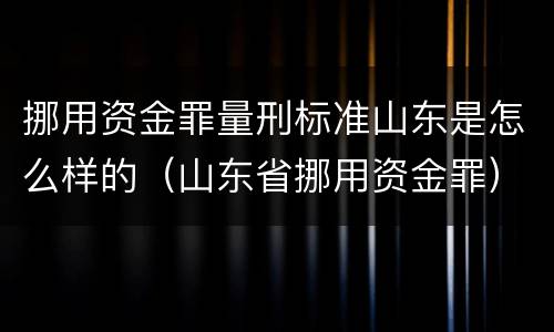 挪用资金罪量刑标准山东是怎么样的（山东省挪用资金罪）