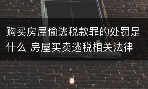 购买房屋偷逃税款罪的处罚是什么 房屋买卖逃税相关法律