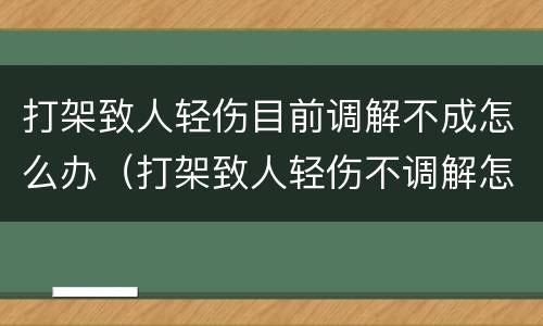 打架致人轻伤目前调解不成怎么办（打架致人轻伤不调解怎么判刑）