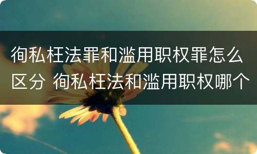 徇私枉法罪和滥用职权罪怎么区分 徇私枉法和滥用职权哪个罪重