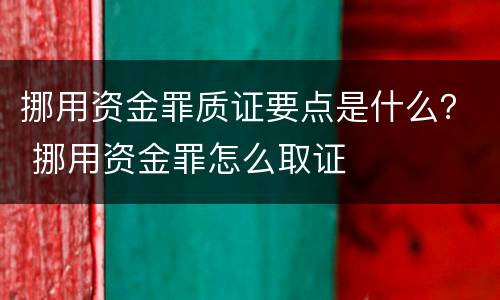 挪用资金罪质证要点是什么？ 挪用资金罪怎么取证