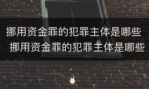 挪用资金罪的犯罪主体是哪些 挪用资金罪的犯罪主体是哪些人