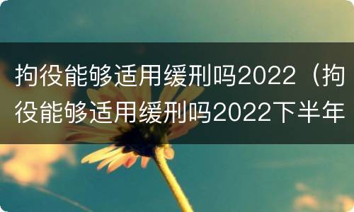 拘役能够适用缓刑吗2022（拘役能够适用缓刑吗2022下半年）