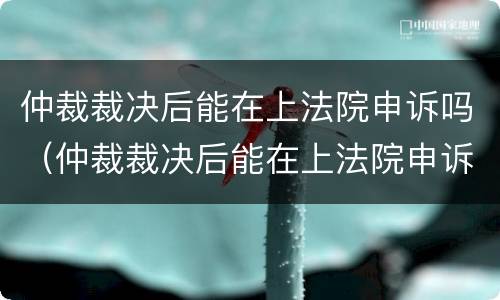 仲裁裁决后能在上法院申诉吗（仲裁裁决后能在上法院申诉吗）