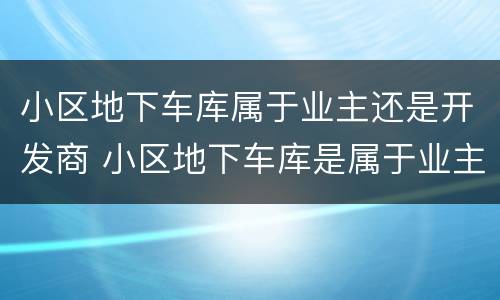 小区地下车库属于业主还是开发商 小区地下车库是属于业主还是属于开发商