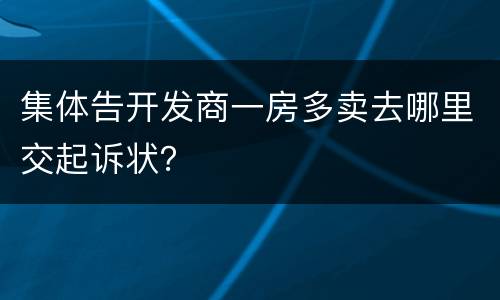 集体告开发商一房多卖去哪里交起诉状？