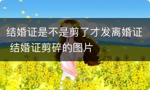 结婚证是不是剪了才发离婚证 结婚证剪碎的图片