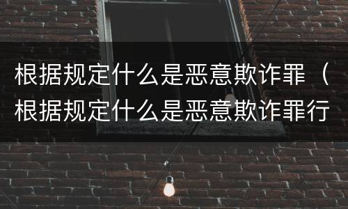 根据规定什么是恶意欺诈罪（根据规定什么是恶意欺诈罪行为）