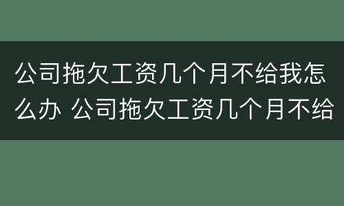 公司拖欠工资几个月不给我怎么办 公司拖欠工资几个月不给我怎么办呢