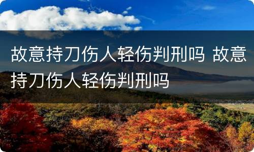 故意持刀伤人轻伤判刑吗 故意持刀伤人轻伤判刑吗