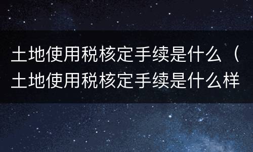 土地使用税核定手续是什么（土地使用税核定手续是什么样的）