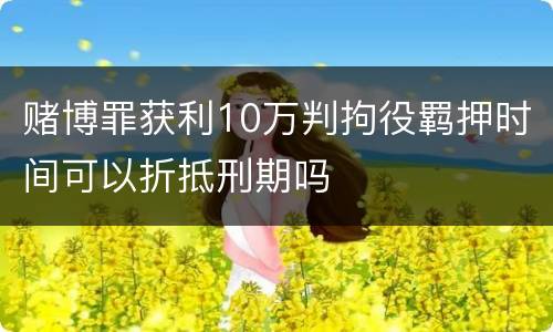 赌博罪获利10万判拘役羁押时间可以折抵刑期吗