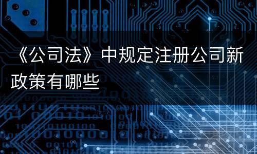 《公司法》中规定注册公司新政策有哪些