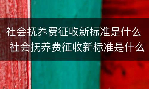 社会抚养费征收新标准是什么 社会抚养费征收新标准是什么意思