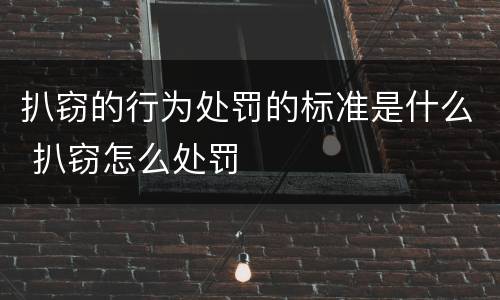 扒窃的行为处罚的标准是什么 扒窃怎么处罚