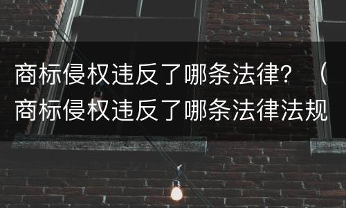 商标侵权违反了哪条法律？（商标侵权违反了哪条法律法规）