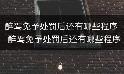 醉驾免予处罚后还有哪些程序 醉驾免予处罚后还有哪些程序可以申诉